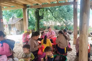 Tỷ lệ hộ nghèo trên địa bàn Sơn La đã giảm nhanh và bền vững. Ảnh Cường Nguyễn