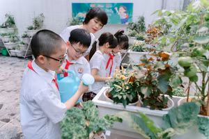 Cô trò trường Tiểu học Xuân La (phường Xuân Đỉnh) cùng nhau tưới nước tại vườn ươm.