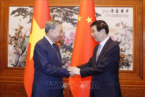 Tổng Bí thư, Chủ tịch nước Tô Lâm hội kiến Chủ tịch Chính hiệp toàn quốc Trung Quốc Vương Hộ Ninh. Ảnh: Thống Nhất/TTXVN