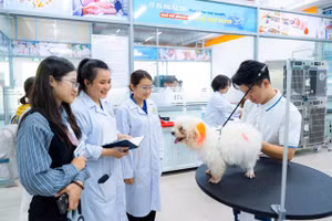 Sinh viên thực hành ngay tại giảng đường. Ảnh: HUTECH. 