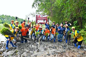  Các doanh nghiệp tham gia Chung sức trồng rừng Mùa xuân. Ảnh; Gaia. 