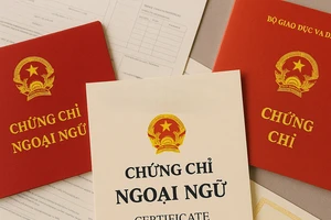Nhiều sinh viên lỡ hẹn tốt nghiệp vì "nợ" chứng chỉ ngoại ngữ đầu ra. Ảnh minh họa.