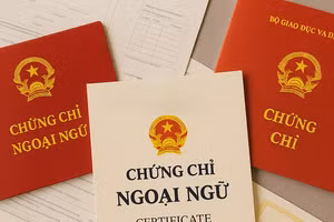 Nhiều sinh viên lỡ hẹn tốt nghiệp vì "nợ" chứng chỉ ngoại ngữ đầu ra. Ảnh minh họa. 