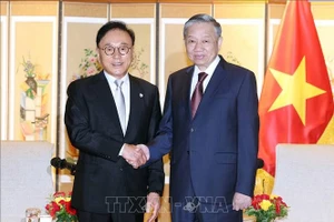Tổng Bí thư Tô Lâm tiếp ông Park Soo Kwan, nguyên Tổng lãnh sự danh dự Việt Nam tại khu vực Busan - Gyeongnam. (Ảnh: Thống Nhất/TTXVN)