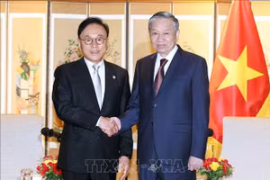 Tổng Bí thư Tô Lâm tiếp ông Park Soo Kwan, nguyên Tổng lãnh sự danh dự Việt Nam tại khu vực Busan - Gyeongnam. (Ảnh: Thống Nhất/TTXVN)