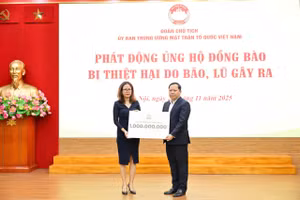 Nestlé ủng hộ đồng bào các tỉnh miền Trung, Tây Nguyên đang chịu thiệt hại do mưa lũ gây ra