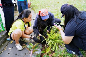 Người dân TPHCM trồng cây. Ảnh: Gaia.
