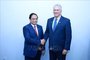 Thủ tướng Phạm Minh Chính gặp Bí thư Thứ nhất Đảng Cộng sản Cuba, Chủ tịch nước Cộng hòa Cuba Miguel Díaz-Canel Bermúdez. (Ảnh: Dương Giang/TTXVN)