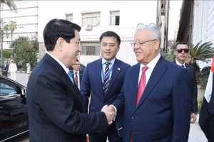 Chủ tịch Hạ viện Ai Cập Hanafy El-Gebaly đón Chủ tịch nước Lương Cường. (Ảnh: Lâm Khánh/TTXVN)