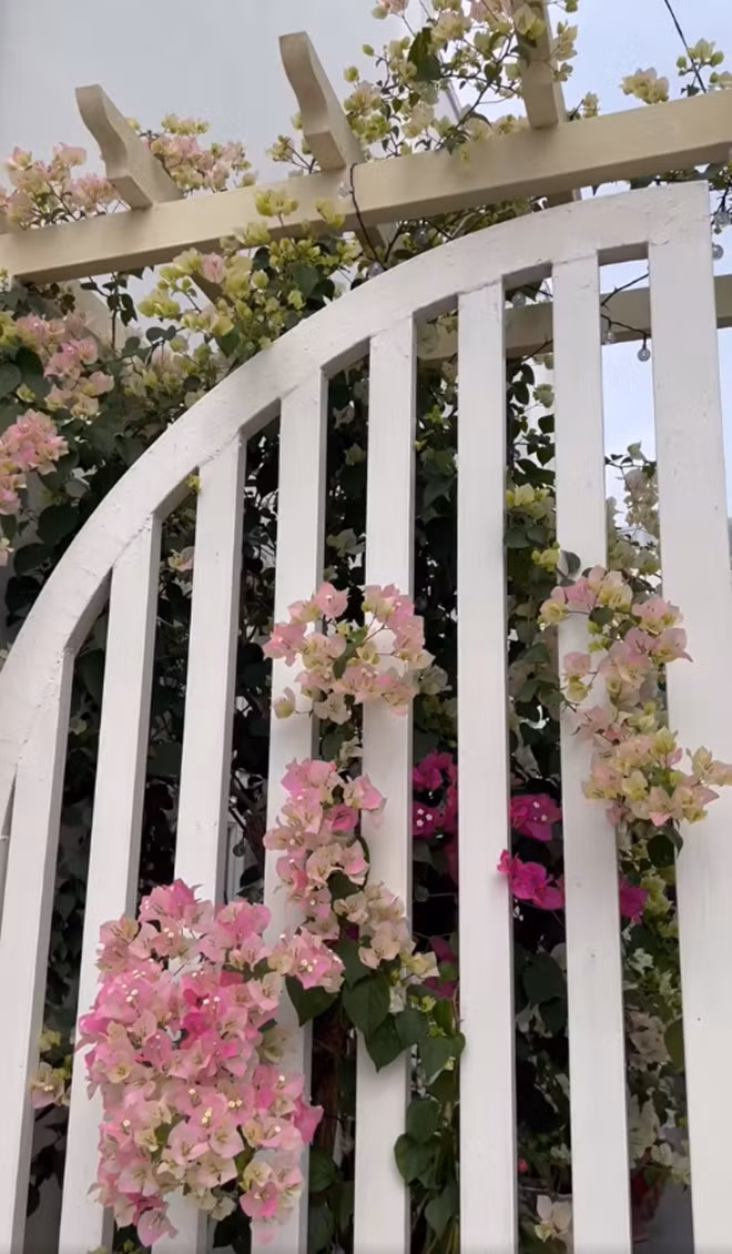 Hé lộ biệt thự ngập tràn sắc Xuân của vợ chồng Mạc Hồng Quân 