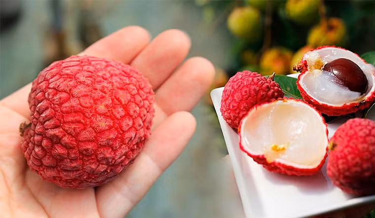 Top món ăn, loại quả tốt cho sức khoẻ để diệt sâu bọ 