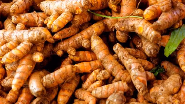 Nghệ cũng được sử dụng làm thuốc để điều trị các vấn đề như khó thở, bệnh dạ dày, chống ung thư giúp cơ thể khoẻ mạnh. Top thực phẩm dễ mua giúp bạn sống thọ, bán nhiều ở chợ Việt