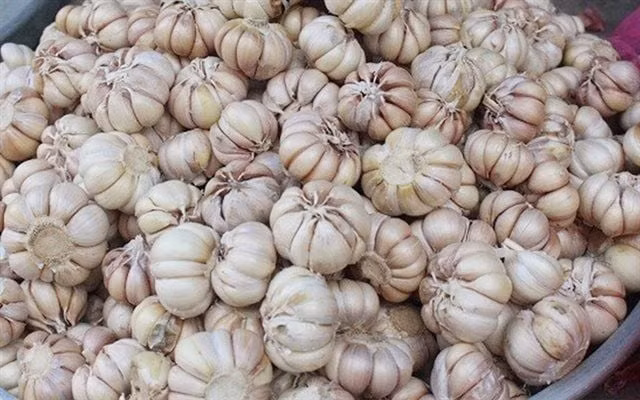 Tỏi cũng được ghi nhận khả năng chống lại vi khuẩn, virus, nấm và ký sinh trùng và làm giảm nguy cơ mắc một số bệnh ung thư. Top thực phẩm dễ mua giúp bạn sống thọ, bán nhiều ở chợ Việt