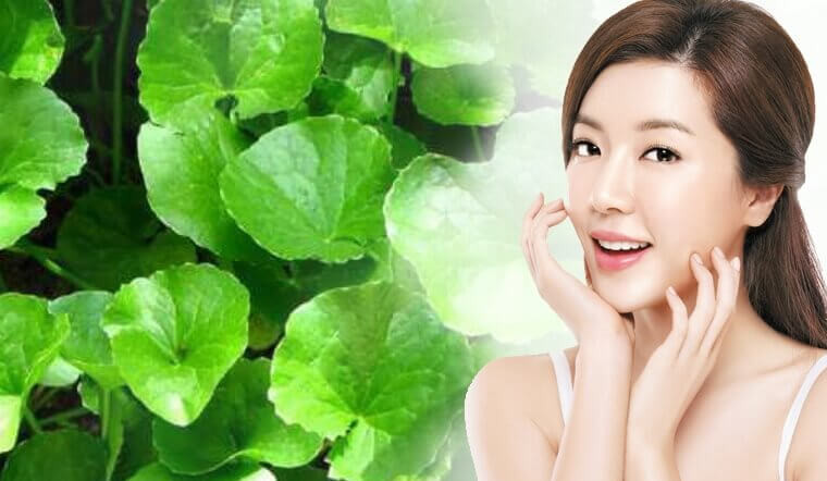 Thần dược tự nhiên trị mụn, chị em nào cũng cần 
