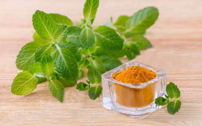 Thần dược tự nhiên trị mụn, chị em nào cũng cần 