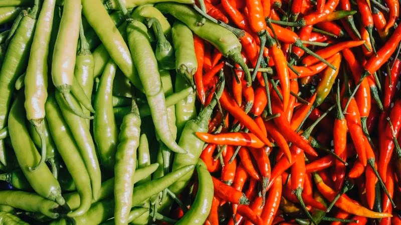 Trời rét nên ăn gì để giữ ấm và phòng bệnh? 