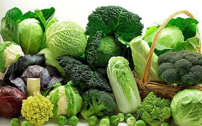 Top những thực phẩm giúp tăng cường trí nhớ ai cũng cần 