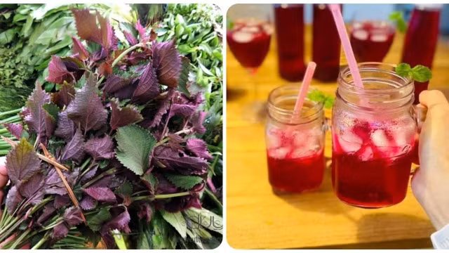 Ăn gì để hết cảm giác chướng bụng, đầy hơi? 