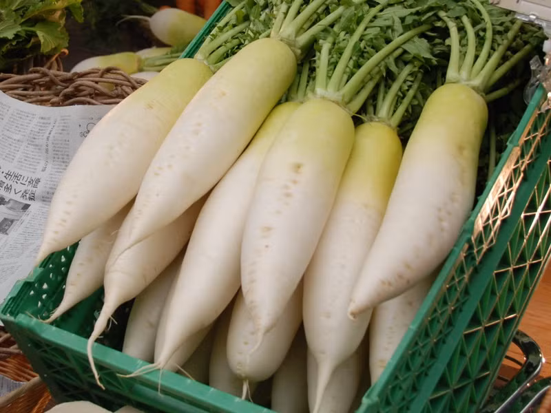 Top thực phẩm bổ thận, cải lão hoàn đồng bán nhiều chợ Việt 