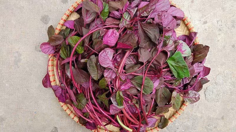 Những loại rau có tác dụng dưỡng xương hiệu quả bán nhiều ở chợ Việt 