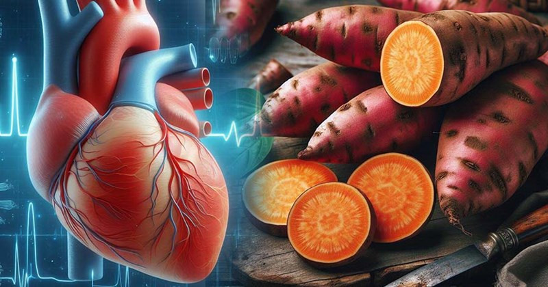 Thực phẩm dễ mua cần bổ sung, giúp trái tim khoẻ mạnh ngày nắng nóng 