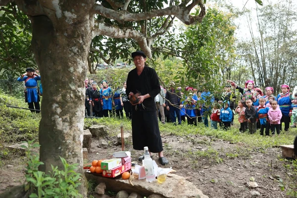 Nghi thức tri ân cây trà Shan tuyết. (Ảnh: Anh Đoàn)