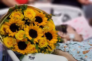 Bó hoa hướng dương bên cạnh Lý vẫn nở rộ, rực sáng lên màu hy vọng. 