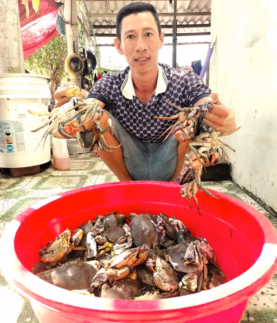 nuoi-cua-1.jpg