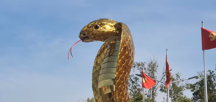 ran-vang-2.jpg