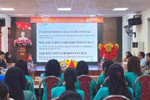 Buổi làm việc giữa đại diện Văn phòng Giáo dục Hàn Quốc và Sở GD&ĐT diễn ra tại Trường THCS Trần Phú.