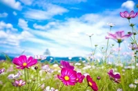 Tử vi 12 con giáp ngày 20/1: Dậu tài lộc dồi dào, Mão sự nghiệp may mắn