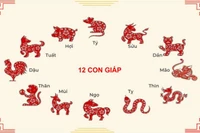 Tử vi 12 con giáp ngày 1/7: Mùi vận khí vững vàng, Hợi đào hoa nở rộ