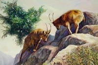 Tử vi tuổi Mùi 2026: Vướng Tam Tai nhưng vẫn bình an, may mắn