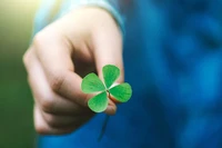 Tử vi 12 con giáp ngày 3/2: Thân tài lộc gõ cửa, Tuất đón nhiều cơ hội mới