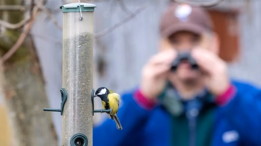 Lợi ích bất ngờ của việc ngắm chim