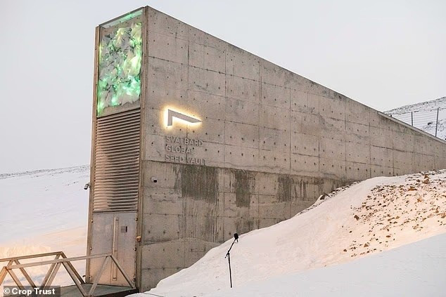 Kho lưu trữ Colossal BioVault sẽ tương tự như Svalbard Global Seed Vault (trong hình), nơi hiện đang lưu giữ 1,3 triệu giống hạt giống có thể được tái tạo trong trường hợp xảy ra thảm họa.