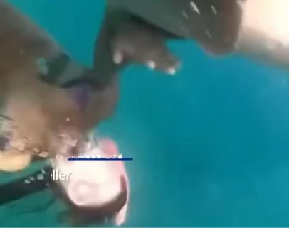 Kinh hoàng khoảnh khắc cá mập tấn công nữ du khách khi lặn tự do