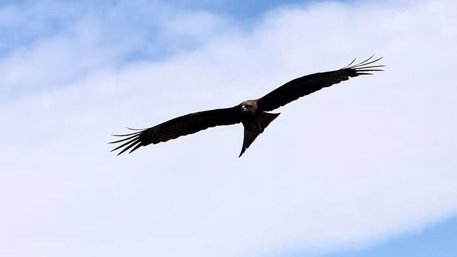 (Ảnh: RIA Novosti)