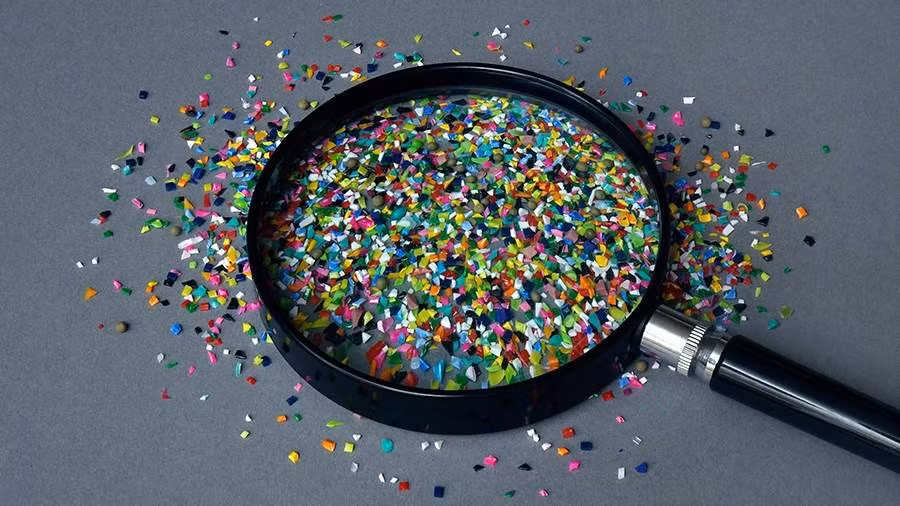 (Ảnh minh họa hạt vi nhựa)