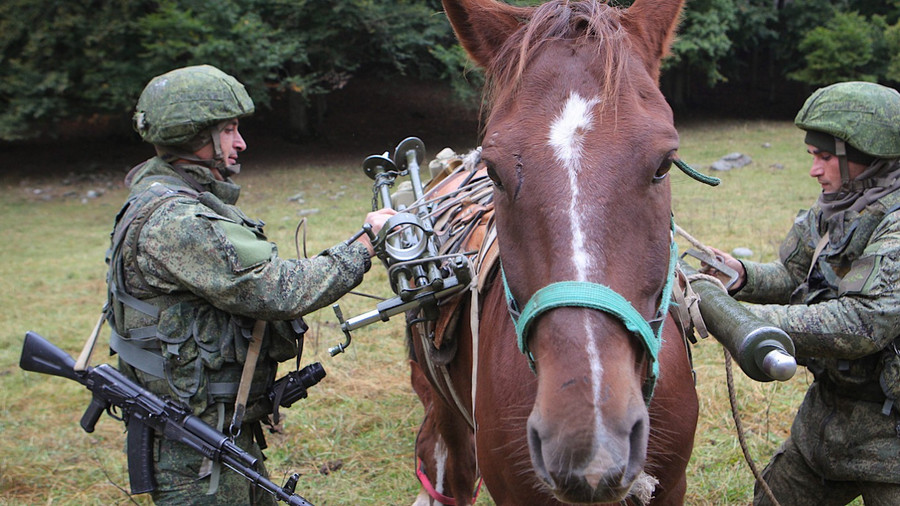 Binh sĩ Nga và ngựa.