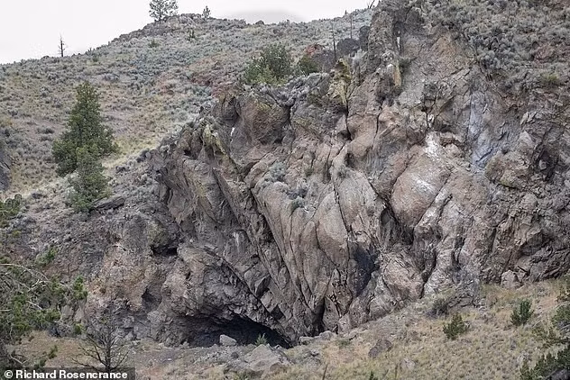 Các hiện vật được phát hiện trong những hang động thuộc vùng Great Basin phía bắc Oregon, Mỹ.