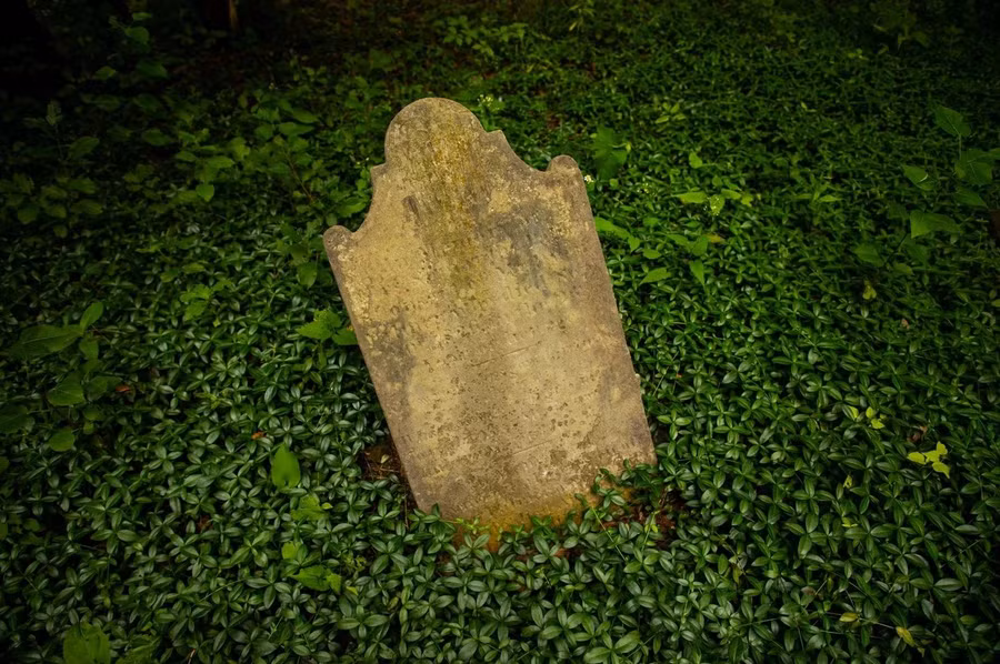 Một cặp vợ chồng phát hiện bia mộ La Mã trong sân sau nhà mình. (Ảnh: Matt Champlin)