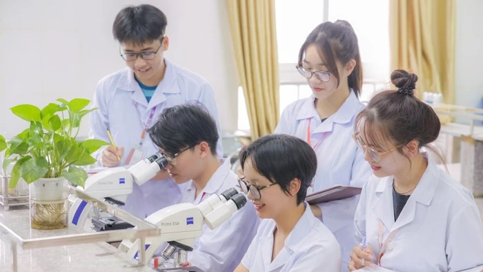 Ảnh minh họa INT.