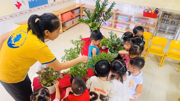 Trẻ tại Mầm non Chú Voi Con. Ảnh: NTCC 