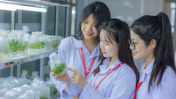 Sinh viên Trường Đại học Sư phạm Hà Nội 2. Ảnh: NTCC