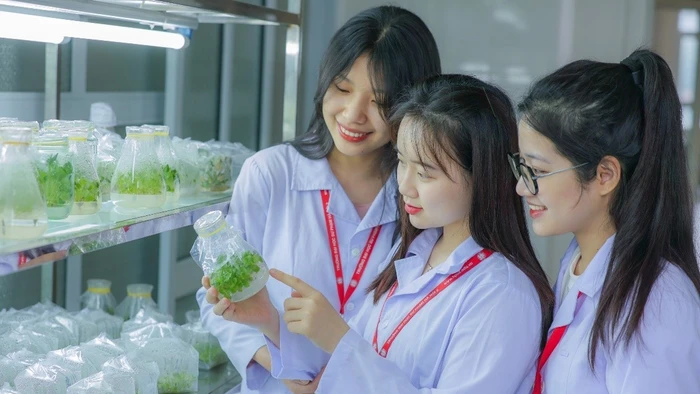 Sinh viên Trường Đại học Sư phạm Hà Nội 2. Ảnh: NTCC