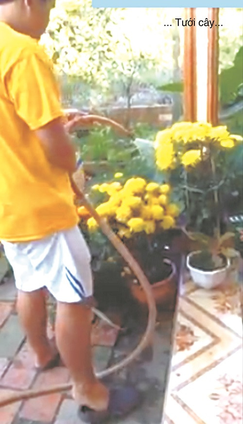 10 năm đồng hành cùng con tự kỷ