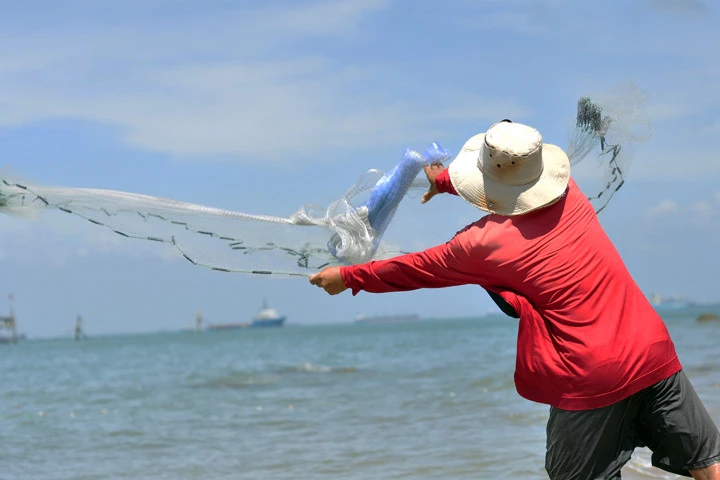 Cha truyền con nối nghề ném đá lùa cá vào bờ ở biển Vũng Tàu