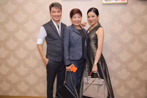 Mỹ nhân Việt đa phong cách trong đêm nhạc từ thiện - 5