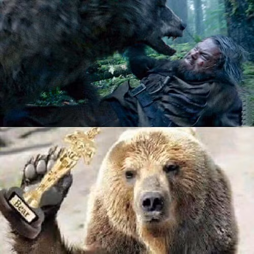 Trước thềm Oscar, nhiều người cho rằng người giành được giải thưởng nhất định là... chú gấu trong phim The Revenant.